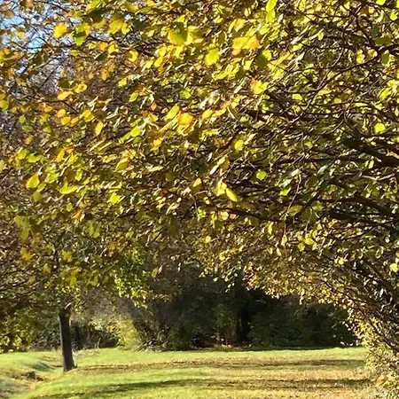 Alojamento de Acomodação e Pequeno-almoço Domaine De Chalaniat La Sauvetat (Puy-de-Dome)