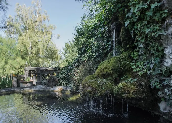 Couette-café Domaine De Chalaniat La Sauvetat (Puy-de-Dome)
